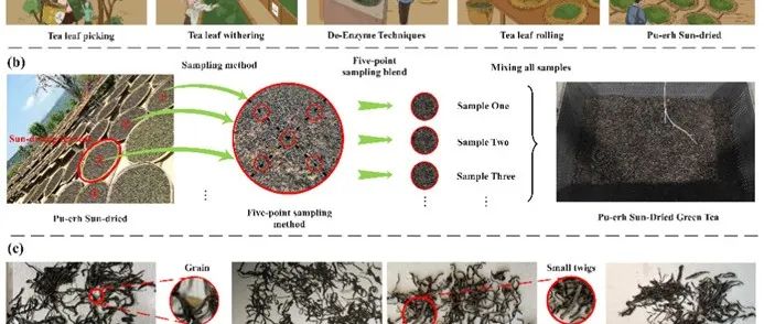 云南农业大学茶学院联合浙江大学利用视觉识别技术对茶叶中的小目标异物检测的相关成果发表在TOP期刊上