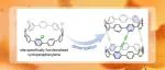 中国科学院理化技术研究所丛欢课题组Angew. Chem.：环对苯撑轴向扩展构建全碳骨架的共轭螺旋分子纳米管