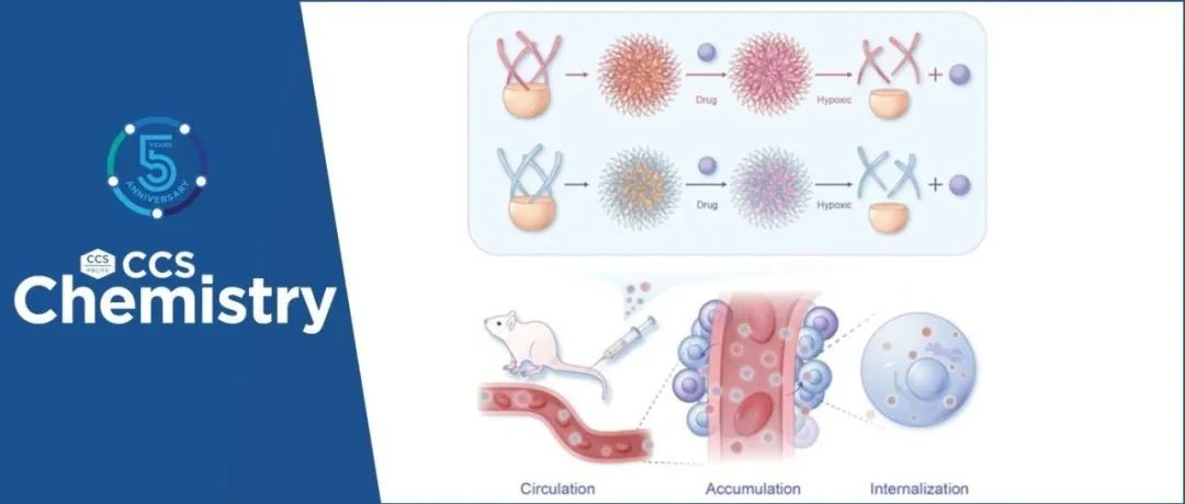 【CCS Chem.】南开大学郭东升：大环载体的手性生物学效应研究