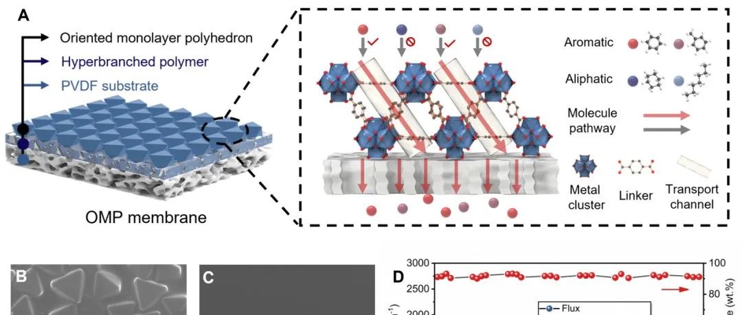 北京工业大学安全福教授、王乃鑫教授 Science：定向单层多面体膜实现芳烃与烷烃的高效分离