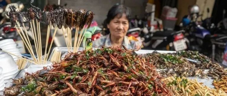 生酮饮食、轻断食、素食：全网都在教你怎么吃，科学家怎么说？ | 《自然》长文