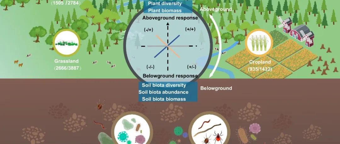 方精云院士Nature Communications最新成果！基于全球13209条数据揭示植物和土壤生物对全球变化的解耦响应