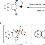 Nature Chemistry：东北师大毕锡和团队实现氮杂芳烃的不对称单原子骨架编辑