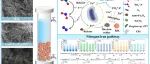 西安建筑科技大学苏俊峰团队JHM｜Nano-Fe3O4/FeCO3改红土基滤池同步除硝、磷与重金属，优化、微生物群落及机制研究