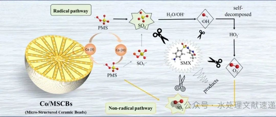 文献速递|英国伯明翰阿斯顿大学SPT:催化微结构陶瓷珠和在 PMS 活性体系中通过 SMX 降解进行的功效评估