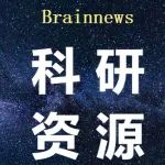 脑科学技能提升 | 脑电连接与网络专题学习（2024.12.13~12.28）