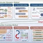 华南理工大学张安强教授团队 Macromolecules：集成分子动力学与机器学习的多组分聚氨酯弹性体性能预测与解释