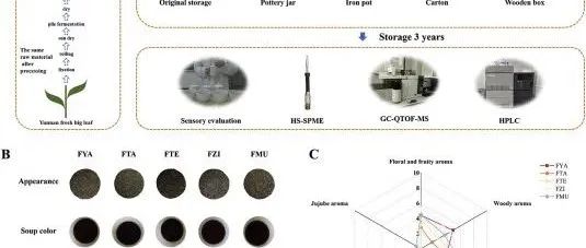 品质|基于分子感官科学揭示不同存储容器对普洱熟茶风味的影响机理