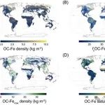 Nature Communications | 基于全球3395个土壤剖面数据，揭示铁氧化物在陆地生态系统土壤有机碳封存中的作用