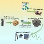 华南理工大学叶代启、黄皓旻团队ACS ES&T Engg.：一种新型微生物掺氮策略改善氮掺杂多孔生物炭的VOCs吸附性能