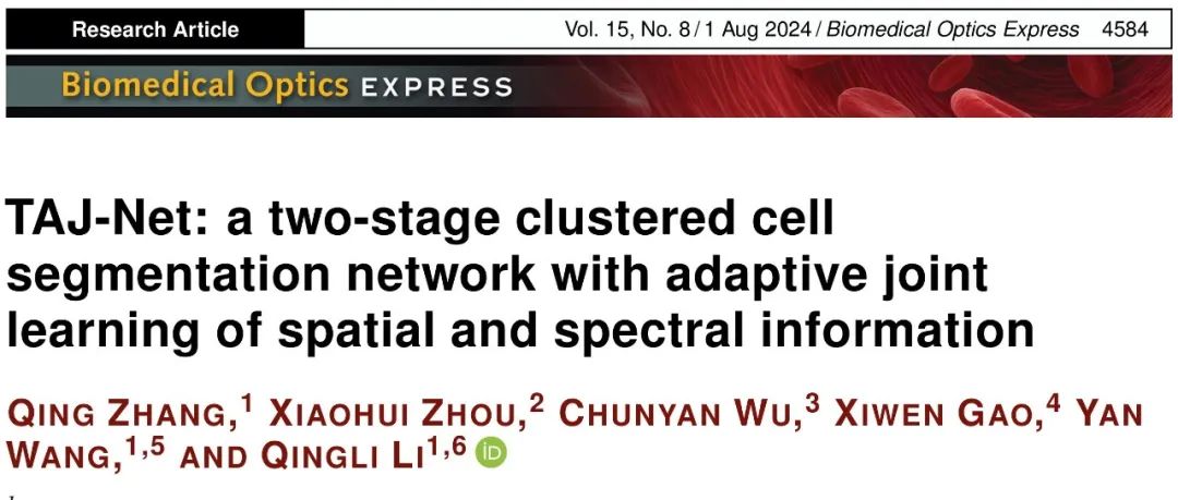 [文献速递Vol.288]-TAJ-Net：一种自适应联合学习空间和光谱信息的两阶段簇细胞分割网络