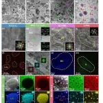 山东大学《Materials Today》铸造层次异质结构多主元合金，实现卓越的强度-延性协同作用