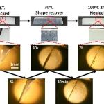 清华大学徐军课题组 Macromolecules：非均匀交联构建高刚度、高韧性的形状记忆自愈合材料