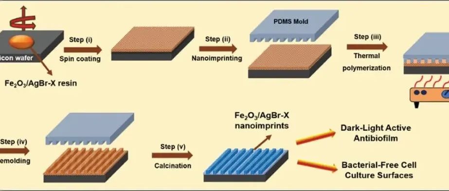 【Small Methods】用于暗光活性抗生物膜和无细菌细胞培养表面的Fe2O3/AgBr薄膜一步纳米印迹