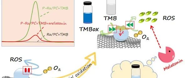 Cryst. Growth Des. | 部分氧化增强Ru纳米颗粒的类氧化酶活性用于褪黑素的比色检测