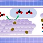 J. Catal.：在PTFE处理过的碳纸上生长的Mn掺杂Bi2O3，用于电化学二氧化碳制甲酸盐的生产