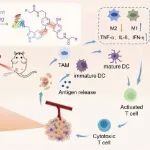 Nano Lett：纳米药物可通过原位产生的自由基钩子实现近端锚定以促进自噬和免疫治疗