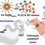 ACS Nano：生物正交化学引导的可吸入纳米前药用于规避原位非小细胞肺癌顺铂耐药