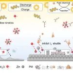 东华大学朱美芳院士/徐桂银团队Angew: 提高锌硫电池动力学性能和抑制枝晶生长的电解质网络结构设计