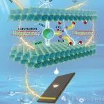 湖南大学《AFM》: 摩擦化学启发催化分离膜过程