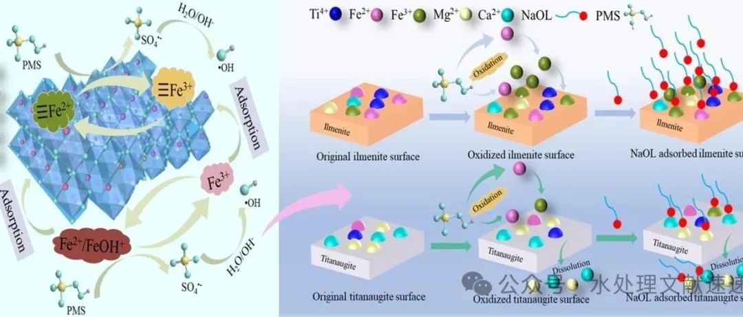 文献速递|昆明理工大学ASS:Fe2+辅助PMS氧化改性钛铁矿和钛辉石的浮选分离：性能和活化机理