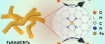 文献速递|深圳大学高等研究院CEJ:锚定在碳纳米管上的具有氮配位的铁单原子位点微环境工程用于促进碱性和酸性介质中的氧电催化