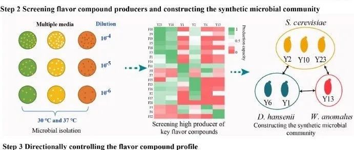 方向性控制中国白酒发酵中合成微生物群落结构对风味化合物剖面的影响