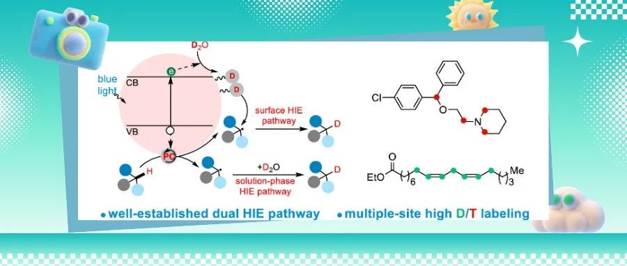 犹他大学&默克公司JACS：CdS量子点通过双重氢同位素交换途径实现药物同位素标记