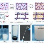 兰州化物所王道爱研究员团队 ACS Nano：亚纳米线限域的剪切稀化PAO润滑凝胶