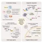 STTT | 四川大学肖雪团队联合中国医科大学李达团队揭示表观遗传学靶向药物的当前范式和未来挑战