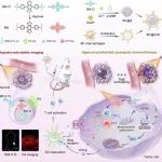 Nature Commun.: 缺氧激活和微环境重塑纳米平台用于多功能成像和增强癌症免疫疗法