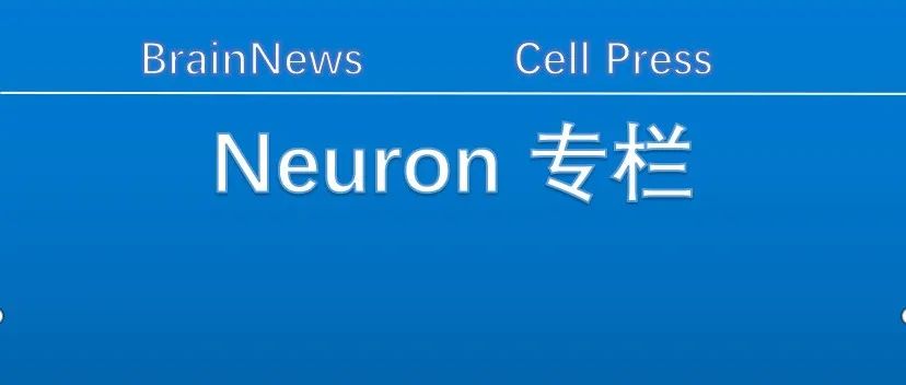 Neuron:  这条“高级”神经环路与动机行为有关