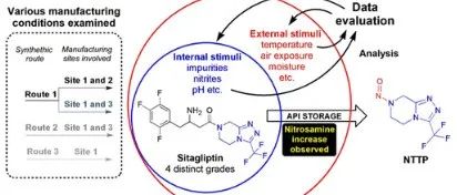 Strategy to Assess and Control Nitrosamine Formation