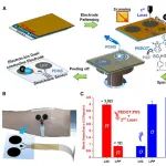 北师大刘楠教授团队 Device：基于电子 - 离子双导电电极实现了肌电信号长期穿戴监测系统