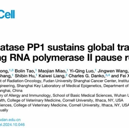 Mol Cell | 复旦大学陈飞团队揭示磷酸酶PP1和PP2A在转录调控中的差异功能