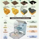 中南大学《Carbon》：覆盖飞秒激光诱导石墨烯的蜡烛烟灰纳米颗粒，实现多功能木屋的目标