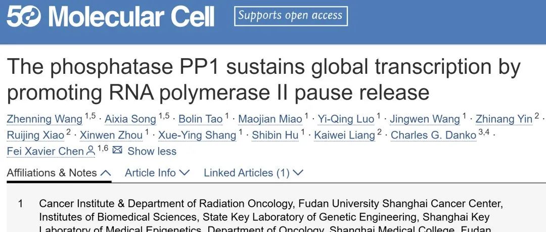 【科技前沿】Mol Cell丨陈飞团队揭示磷酸酶PP1和PP2A在转录调控中的差异功能