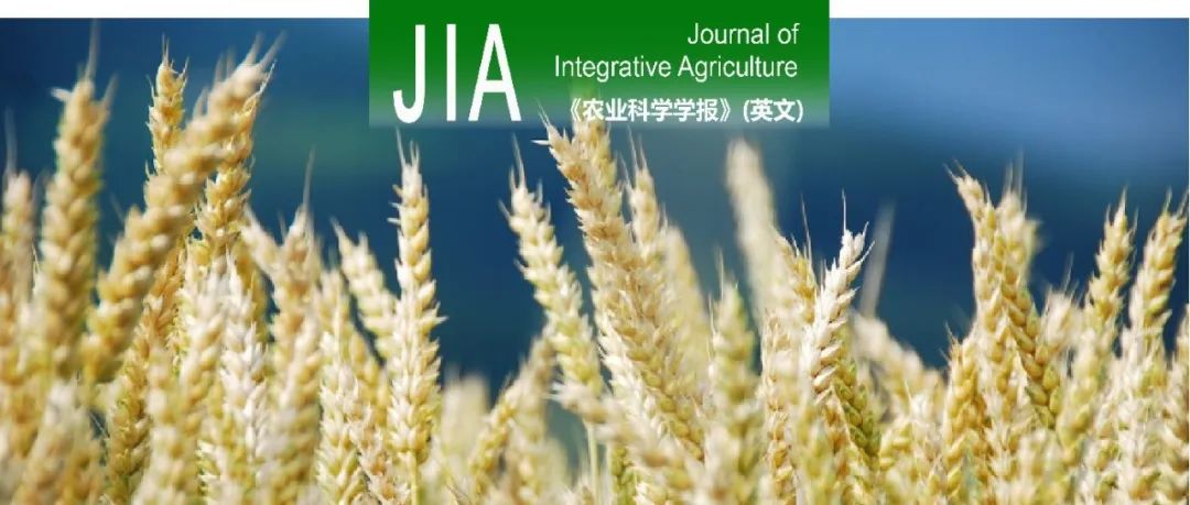 JIA｜中国农业科学院生物技术研究所王友华研究组的2023年全球转基因作物商业化发展态势研究