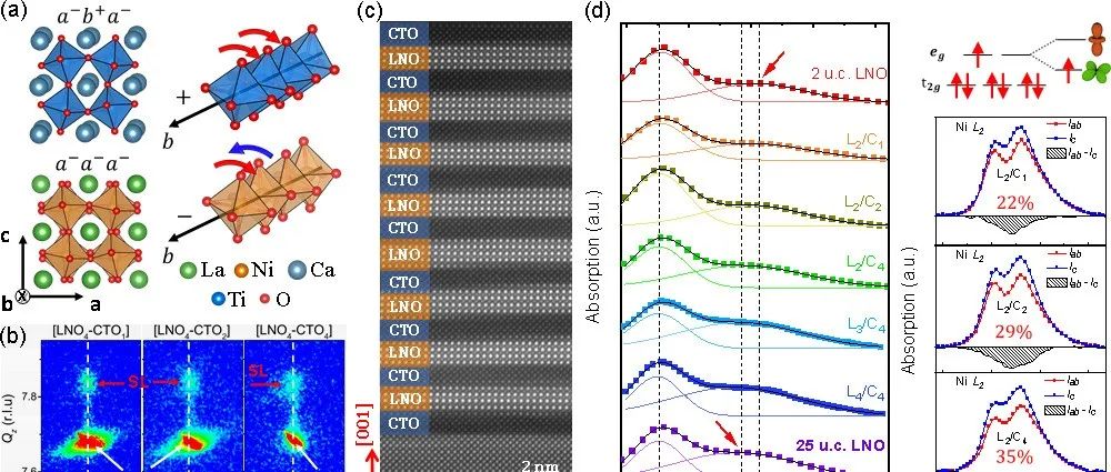氧八面体旋转调制实现超薄LaNiO&#8323;的金属性电导及大轨道极化 | 进展