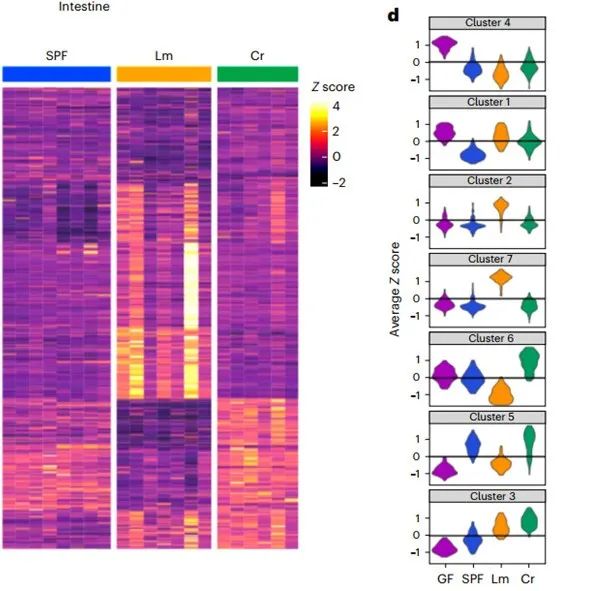 Nat. Microbiol. | 肠道细菌感染刺激胆汁代谢物重塑以促进肠道稳态