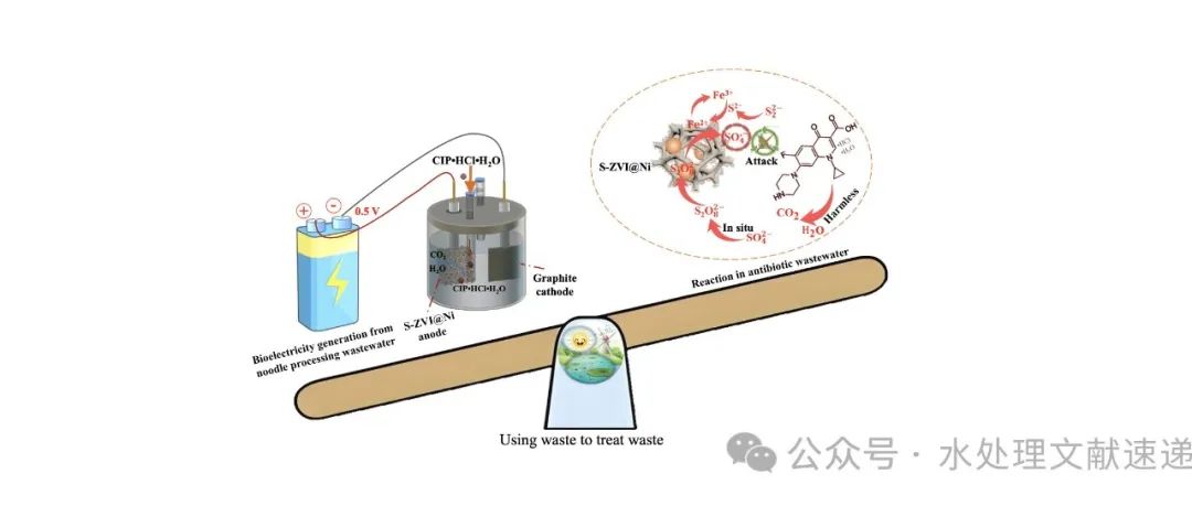 文献速递 | 台州学院蒋胜韬团队CEJ: 生物电驱动硫化铁阳极原位产生硫酸根自由基强化盐酸环丙沙星的去除：性能和机理