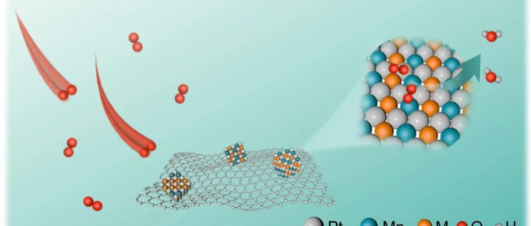 华中科技大学王得丽教授团队：应变调控的PtMnM三元金属间化合物助力高效氧还原反应电催化