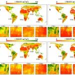 同济大学王群明团队发布2015-2020年全球9公里8天SMAP表层土壤湿度数据集