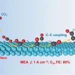 厦门大学王野&谢顺吉团队：CO2电催化还原制多碳化合物研究新进展