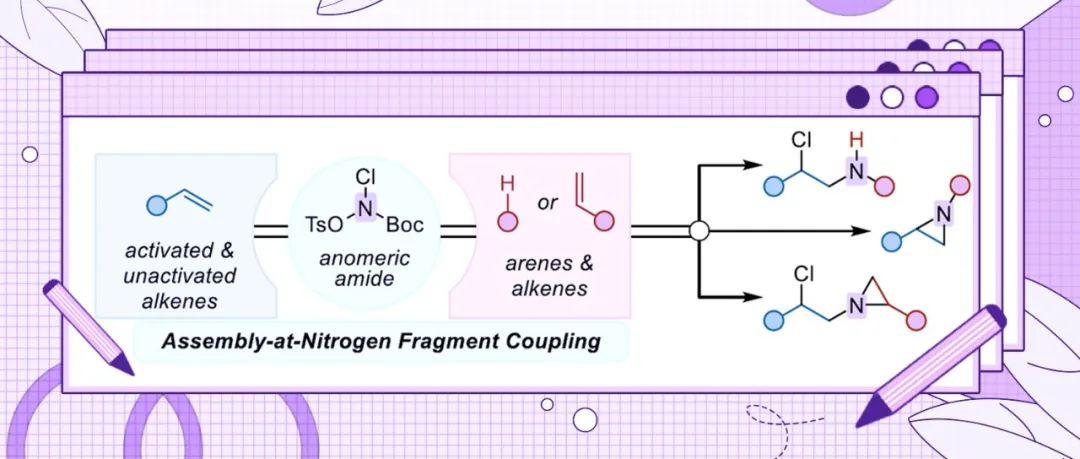 Frank Glorius课题组最新Angew：异头酰胺试剂促进烯烃-芳烃和烯烃-烯烃的胺化偶联反应