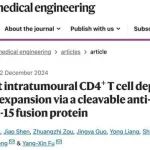 NBE | 清华大学傅阳心/彭华团队开发双功能抗癌融合蛋白，在清除Treg的同时激活CD8+T细胞