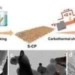 西北工业大学Chemical Communications：碳热冲击法制备高性能Mo2C/MoS2异质结构HER催化剂