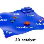 邓德会Angew综述：二维催化剂—从模型走向实用化