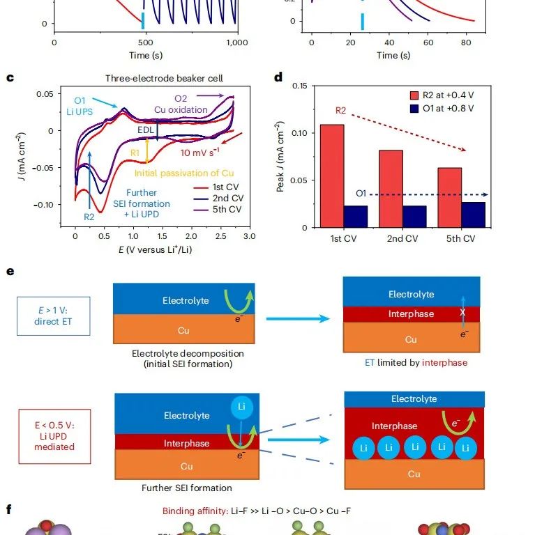 鲍哲南院士/崔屹院士，最新Nature Chemistry：解析SEI形成机理！