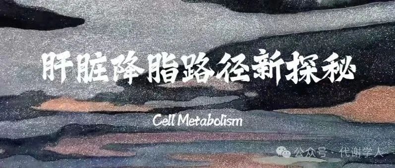 Cell Metabolism：肝脏降脂路径新探秘